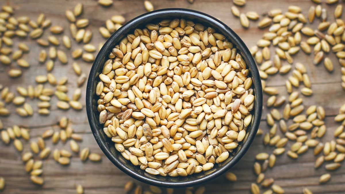 Benefits of Barley Face Pack for Skin in Hindi