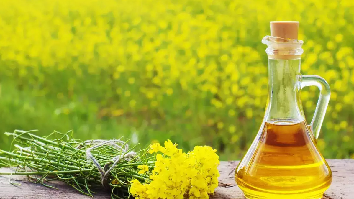 mustard oil for hair