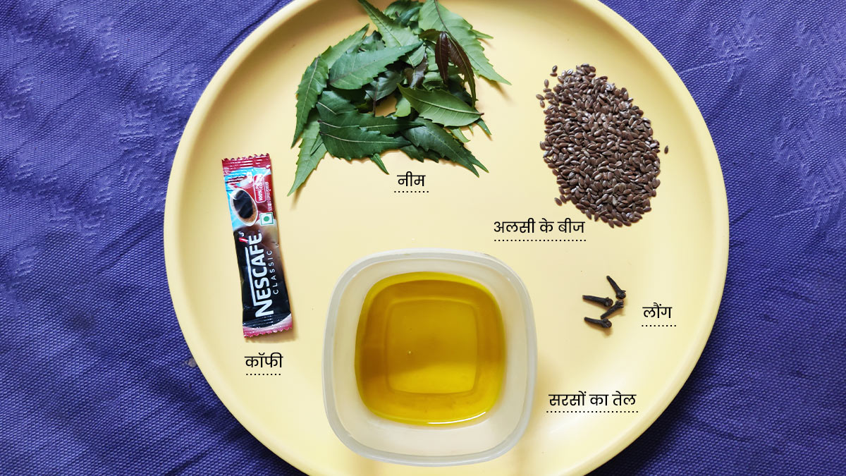 Hair-Fall-Homemade-Hair-Mask
