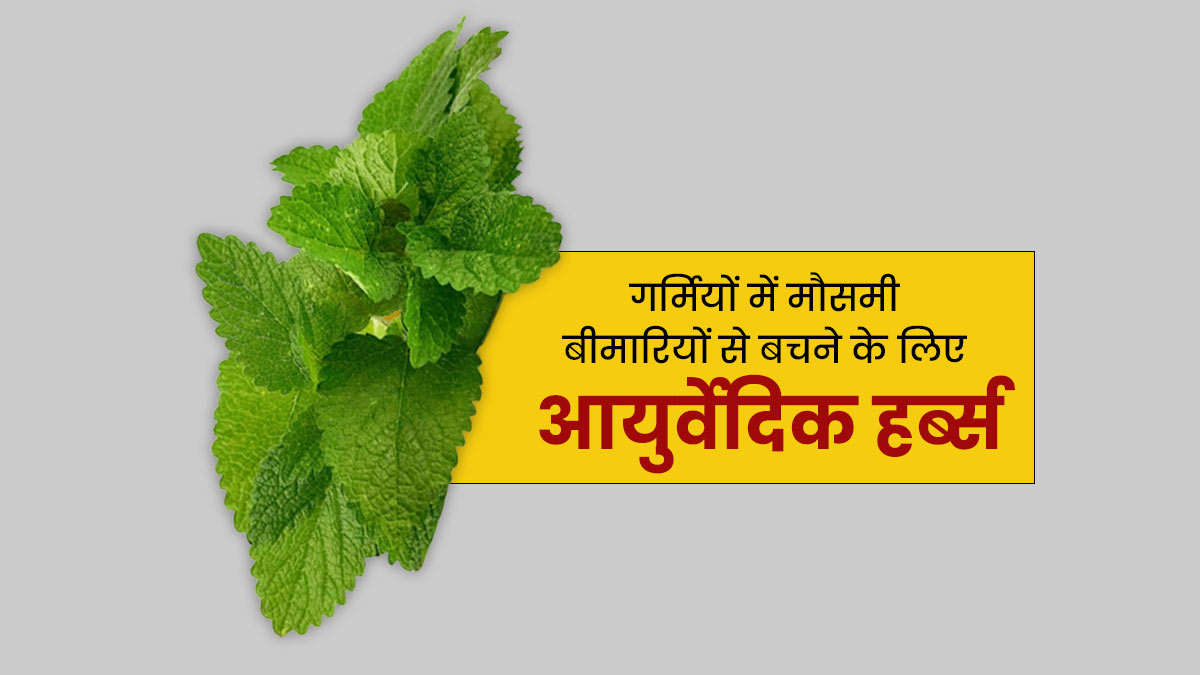 गर्मियों में मौसमी बीमारियों से बचने के लिए इस्तेमाल करें ये 5 आयुर्वेदिक हर्ब्स