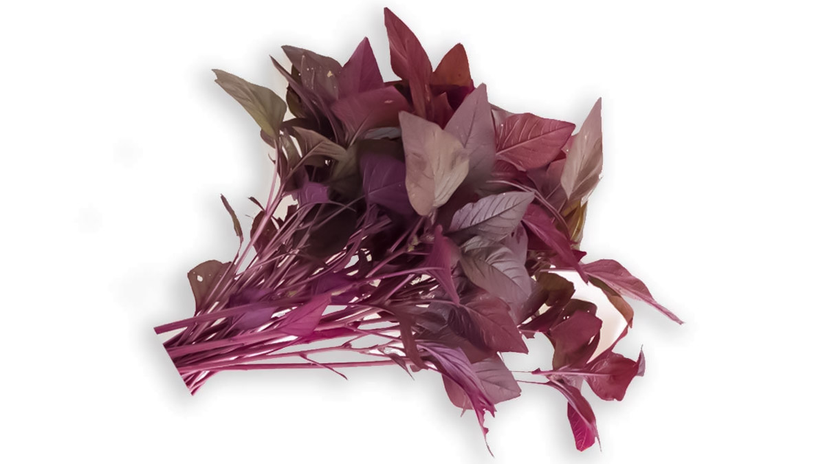 Health Benefits of Including Red Spinach in Diet During Pregnancy in Hindi