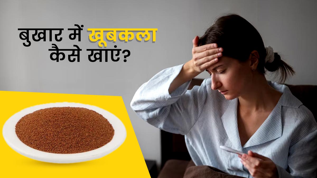 बुखार में फायदेमंद होता है खूबकला, जानें सेवन का तरीका