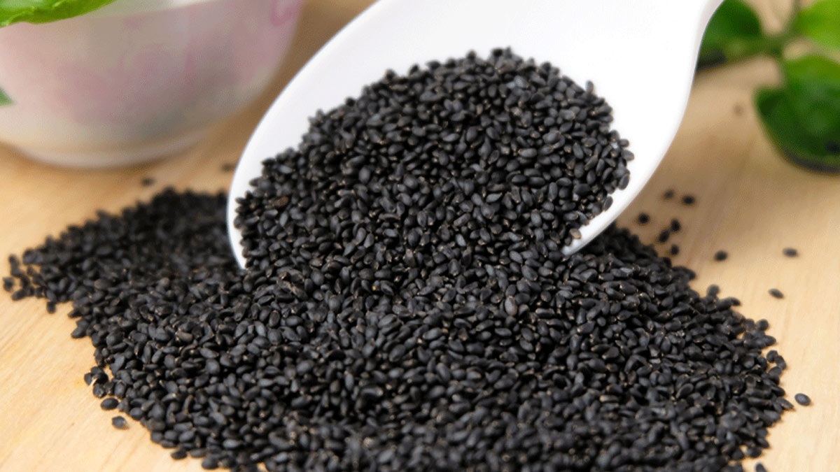 SBJA SEEDS