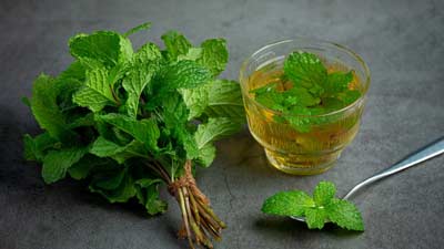  7 Reasons To Include Pudina In Your Diet