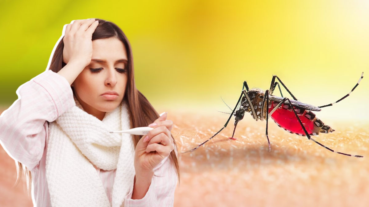 Severe Dengue Symptoms: डेंगू के इन 5 शुरुआती लक्षणों को बिल्कुल न करें नजरअंदाज, वरना ले सकता है गंभीर रूप