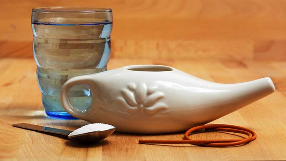 Ayurvedic Remedies For Dust Allergy