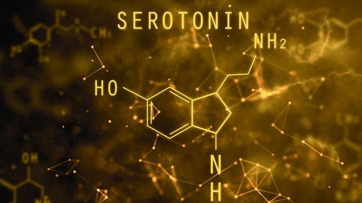 Low Serotonin Causes Long COVID