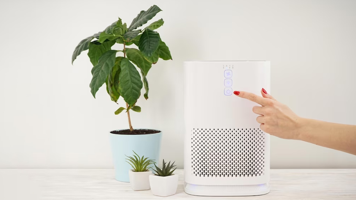 When Can Air Purifiers Cause Diseases