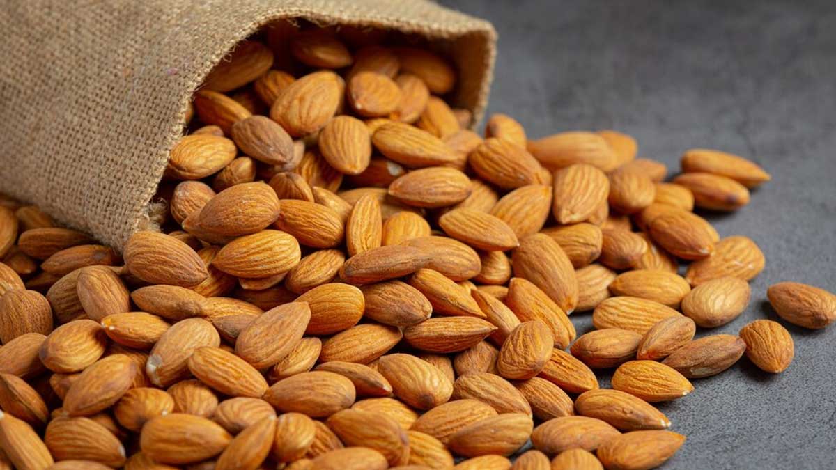 Almonds Vs Walnuts Which Improve Your Attention