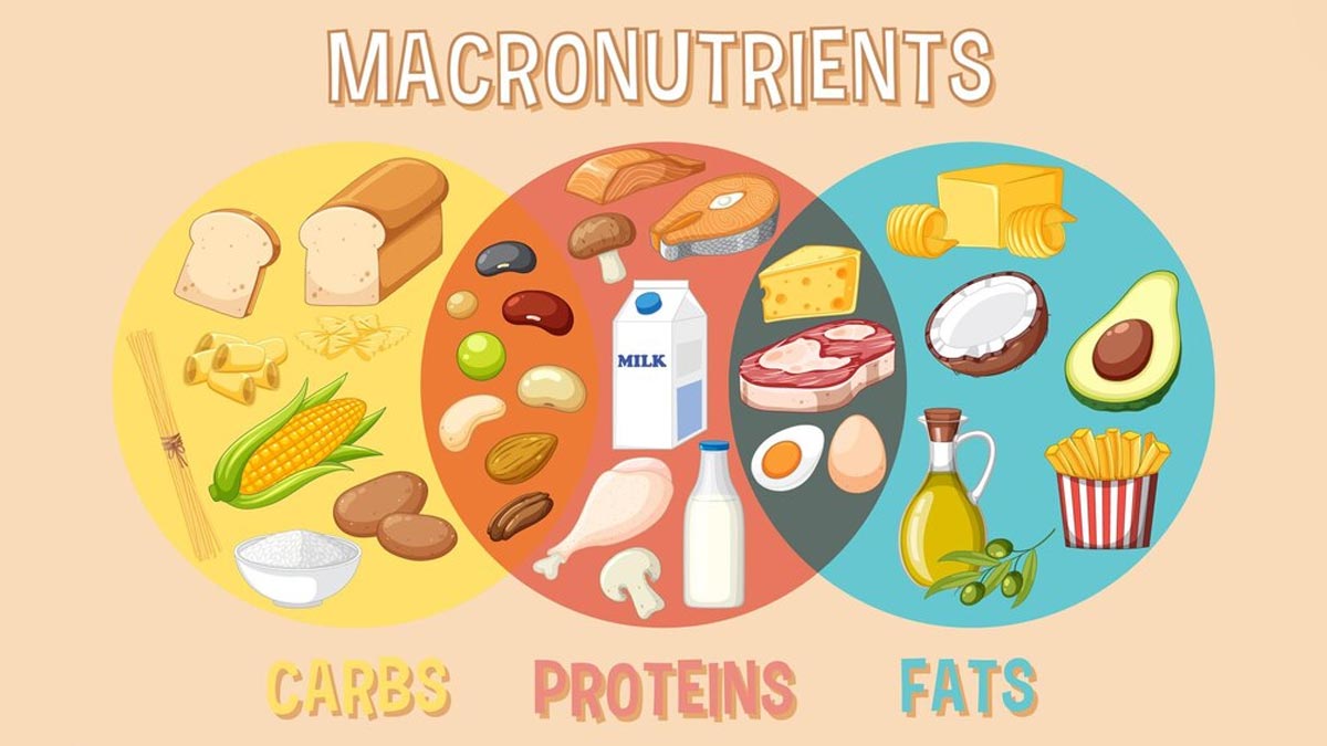 Mastering Macronutrients: Expert Shares A Guide to Balancing Your Diet for Optimal Health