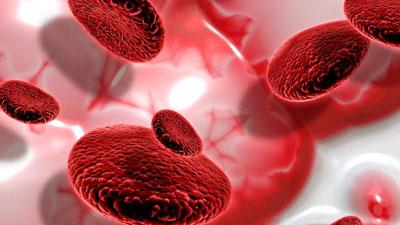 Platelet Function and Health: Expert Explains Its Role And Causes Of Depletion