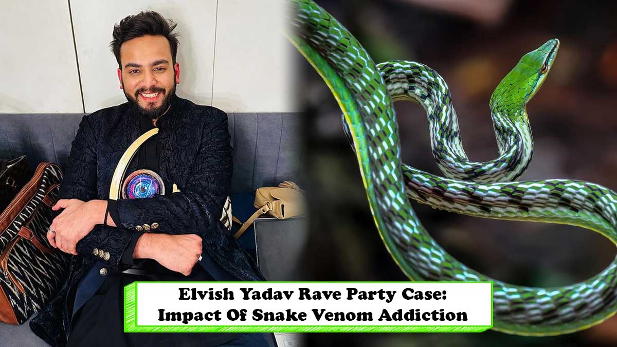 Elvish Yadav Booked For Allegedly Supplying Snake Venom: Here're Its Short And Long Term Impacts On Your Body