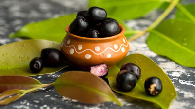 From Digestion To Skin Health: Here Are Health Benefits Of Chewing Jamun Leaves That You Should Know