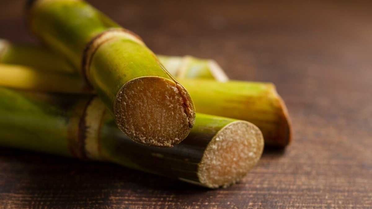 Burning Crops Like Sugarcane And Rice Husk May Cause Fatal Kidney Disease, Reveals Study