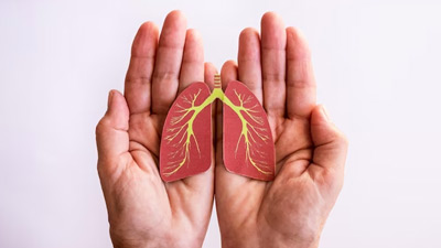 15&ndash;20% Men And 50% Women With Lung Cancer Are Non-Smokers: What Could Be The Contributing Factors?