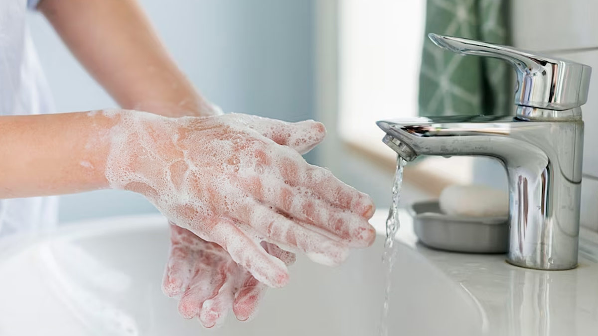 Are You Concerned About Your Hand Hygiene? Be Mindful Of These Chemicals While Buying A Hand wash 