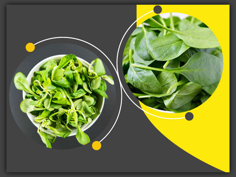 Winter Wellness with Spinach: Easy and Nutritious Ways to Incorporate Spinach in Your Diet