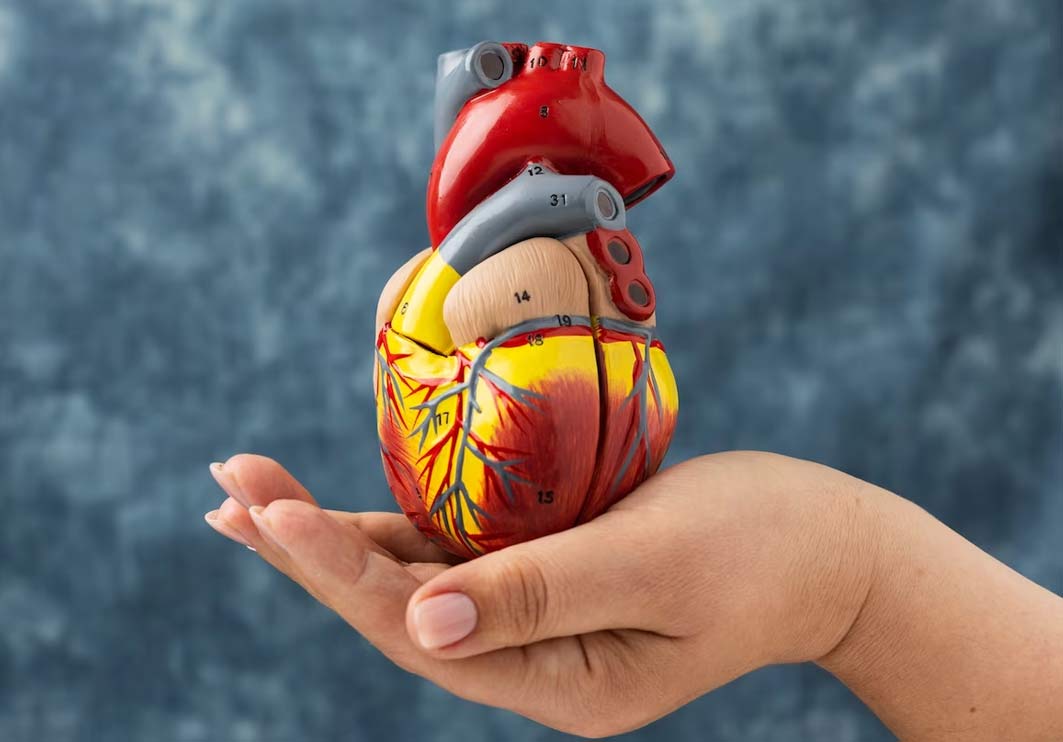 Water Chestnut Benefits To Lower High Cholesterol