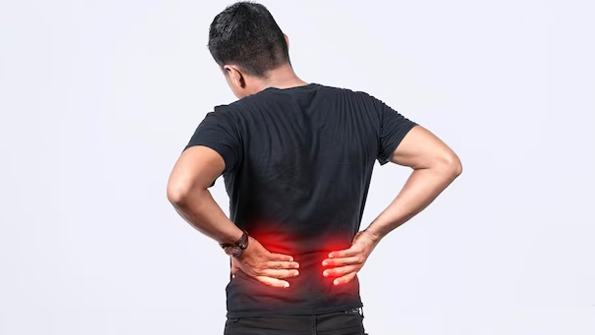 Jatamansi Herb Benefits For Kidneys