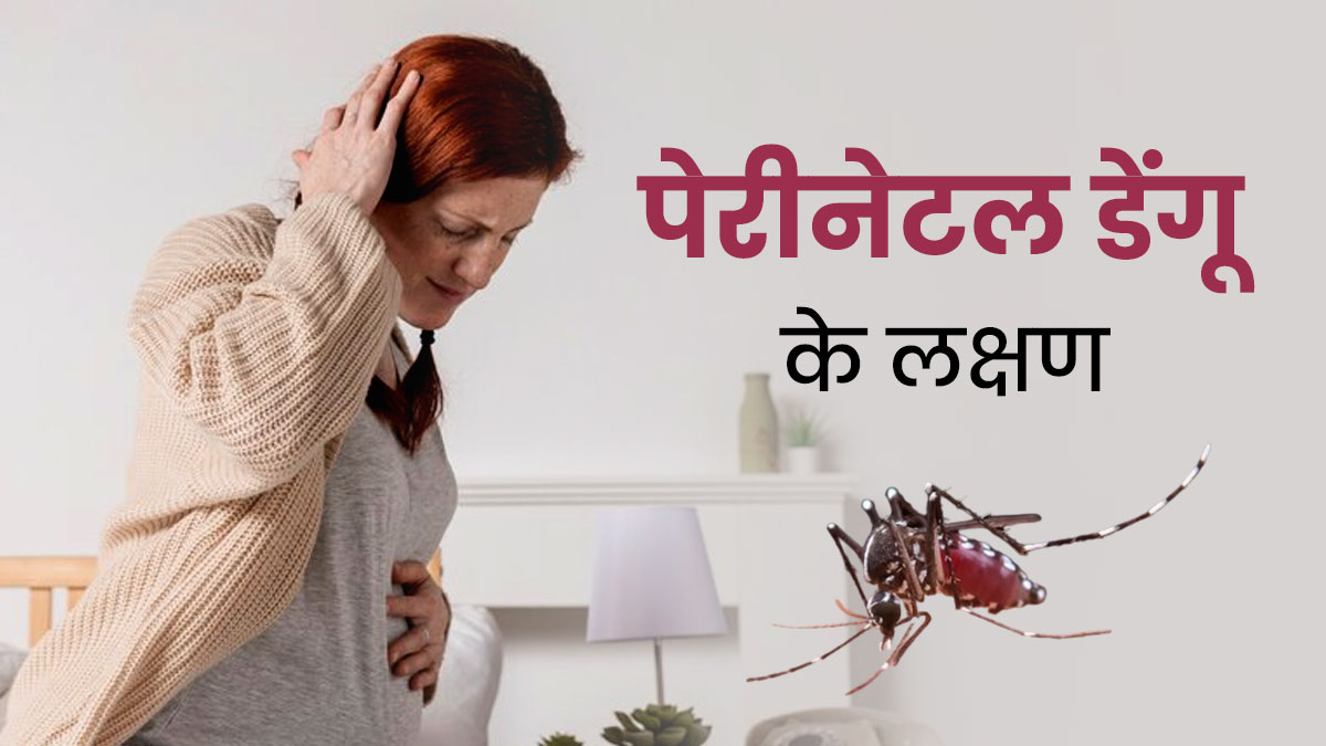 Perinatal Dengue: लुधियाना में बढ़ रहे पेरीनेटल डेंगू के मामले, जानें इसके लक्षण, कारण और बचाव 