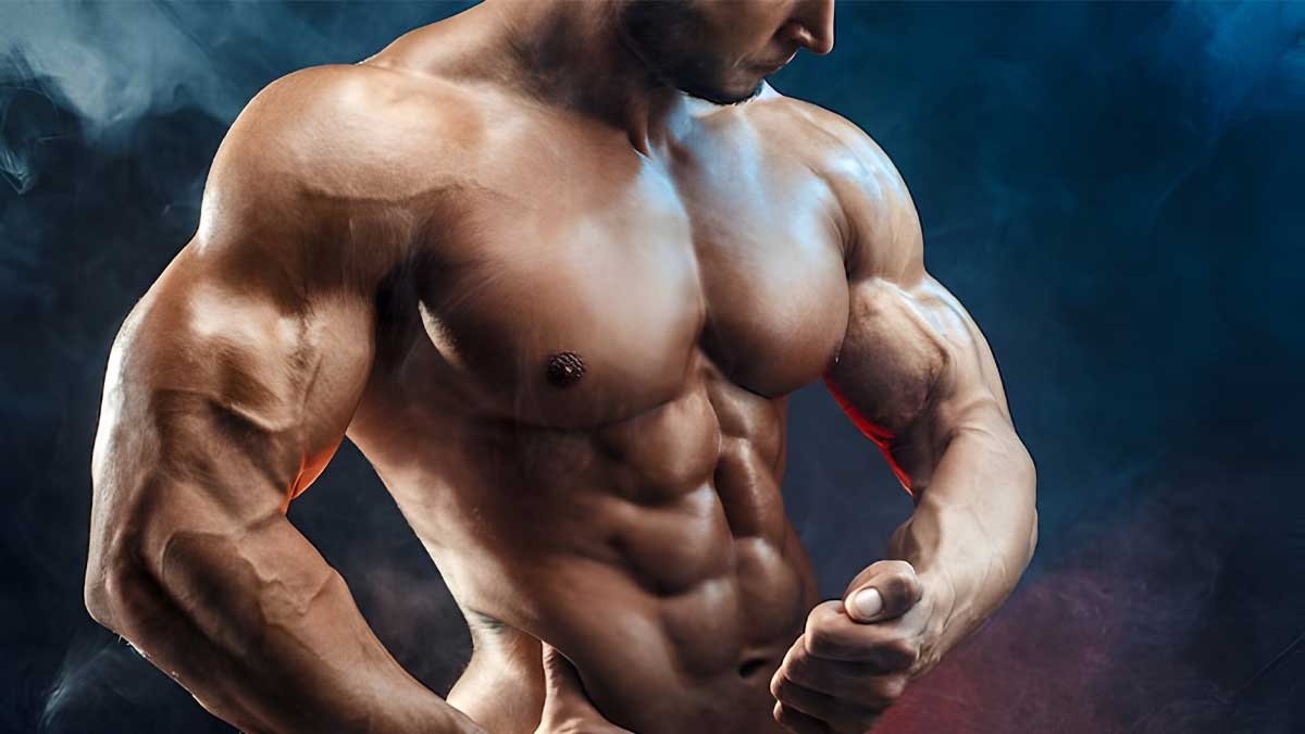 Basa Fish For Muscle Mass