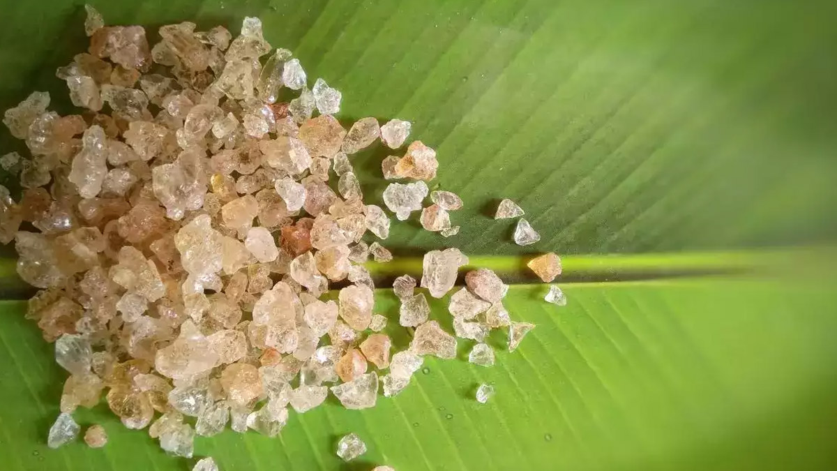 Gond Katira Can Boost Your Health In Winter