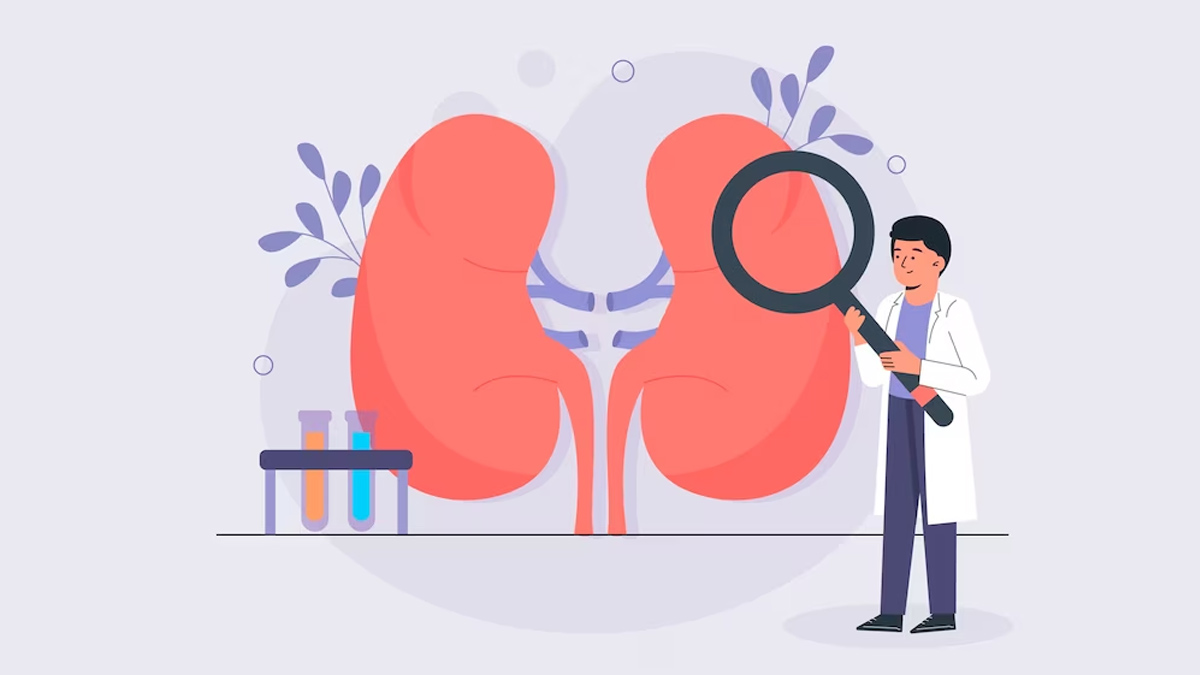 Kidney Disease: Expert Explains Stages Of Kidney Disease And How To Prevent It