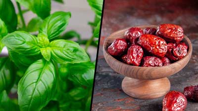 Ayurveda For Stress Relief: Expert Shares The Power Of Jujube And Basil Seed Drink