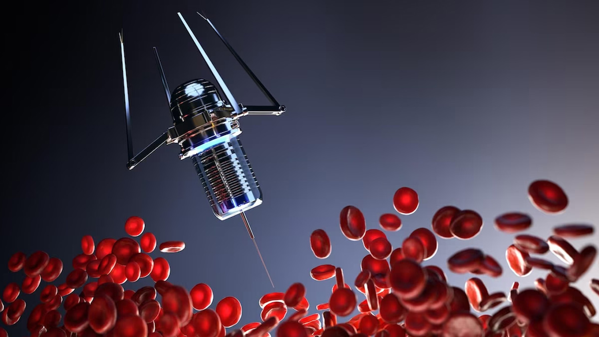 Foods To Prevent Blood Clotting