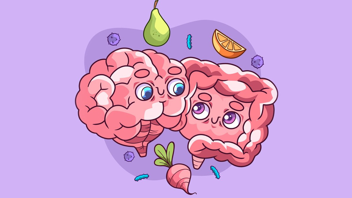 gut-brain-connection