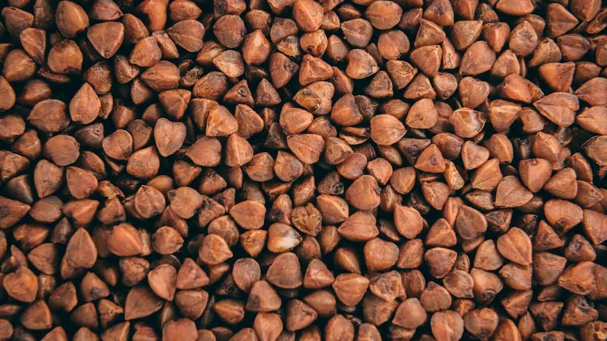 Navratri Kuttu Ka Atta Buckwheat Health Benefits