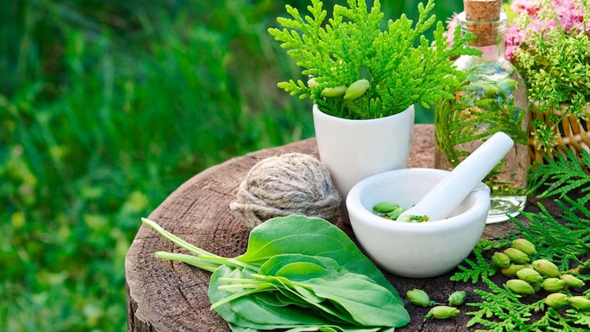 Link Between Taste And Well Being Ayurveda