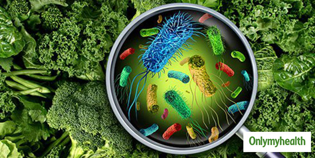 harmful effects of microplastics in the food chain