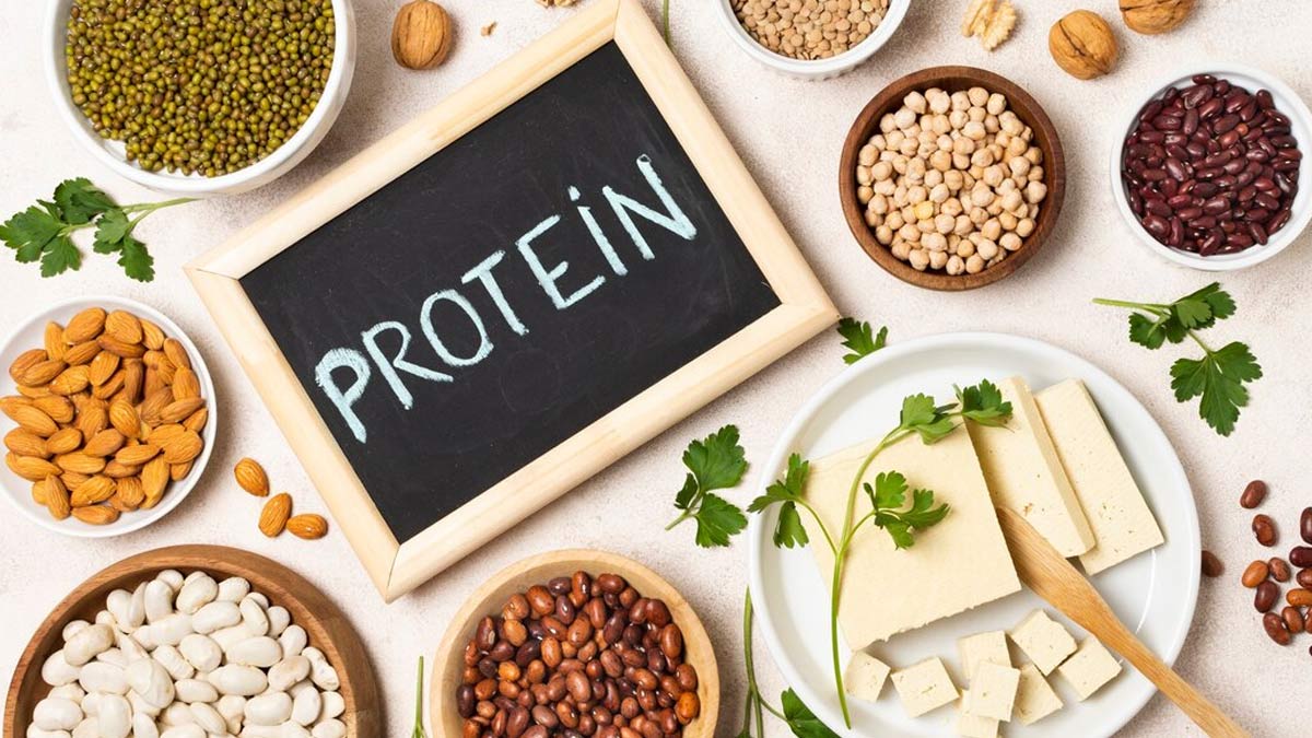 Protein Deficiency Causes Weight Gain And Obesity