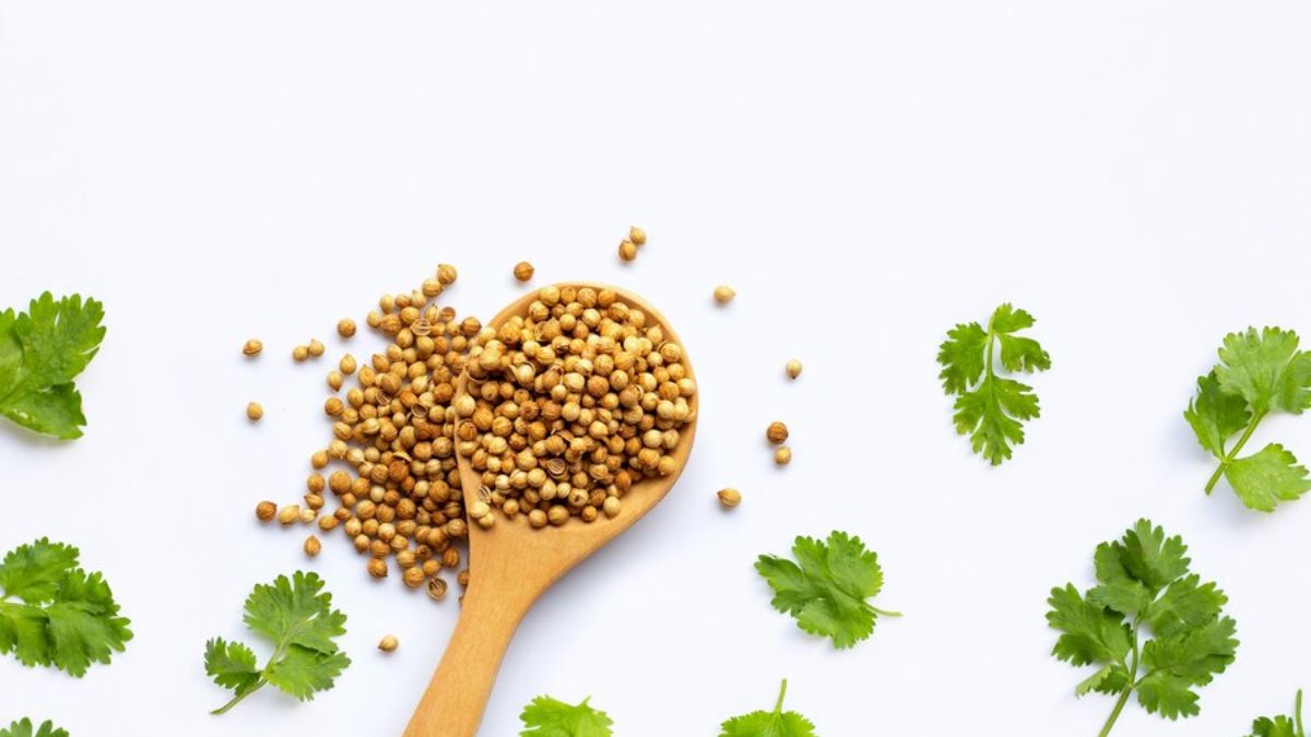 Coriander Seeds benefits To Reduce Cholesterol