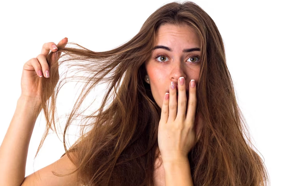 oily scalp and dry hair