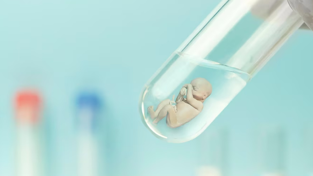 Embryology in IVF