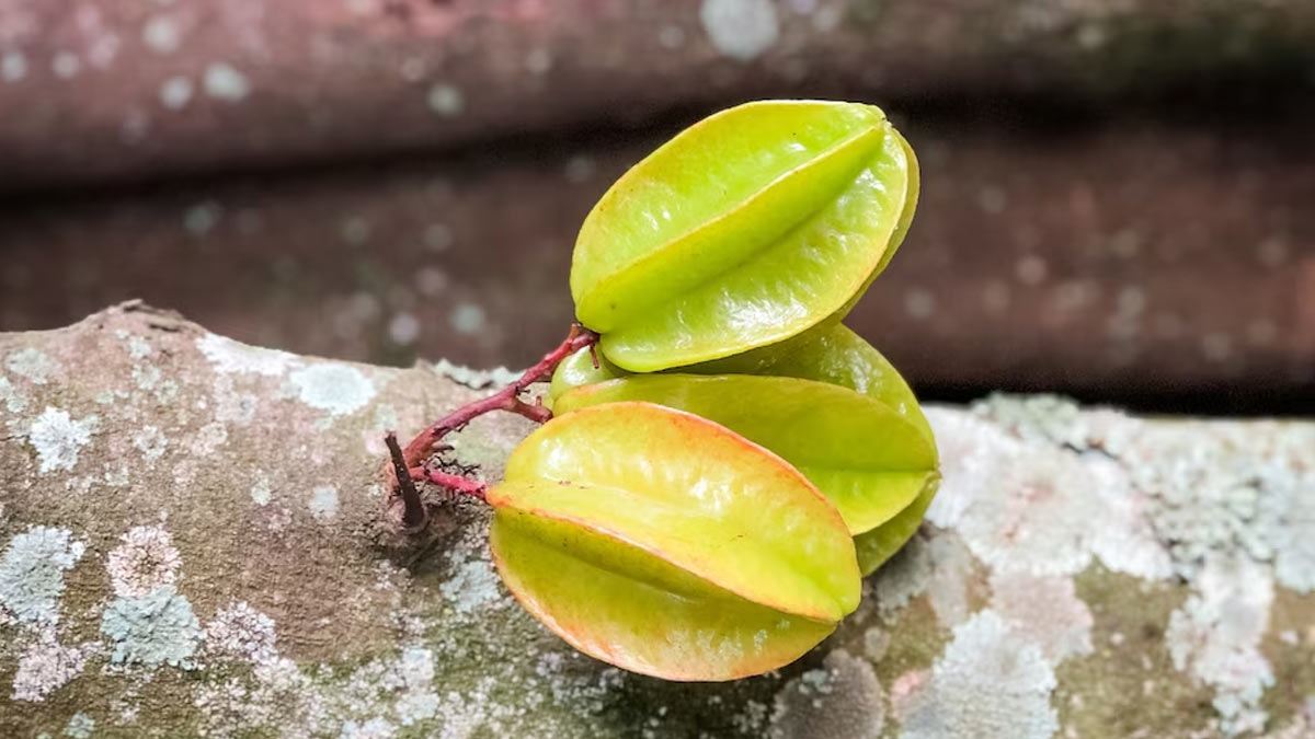 Health Benefits Of Star Fruit