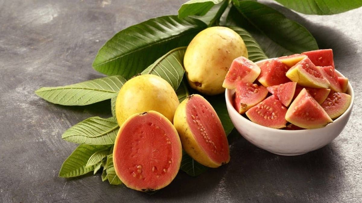 guava benefits