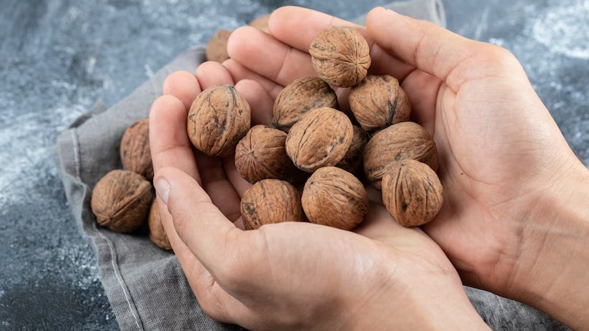 How Many Walnuts Can We Eat In A Day