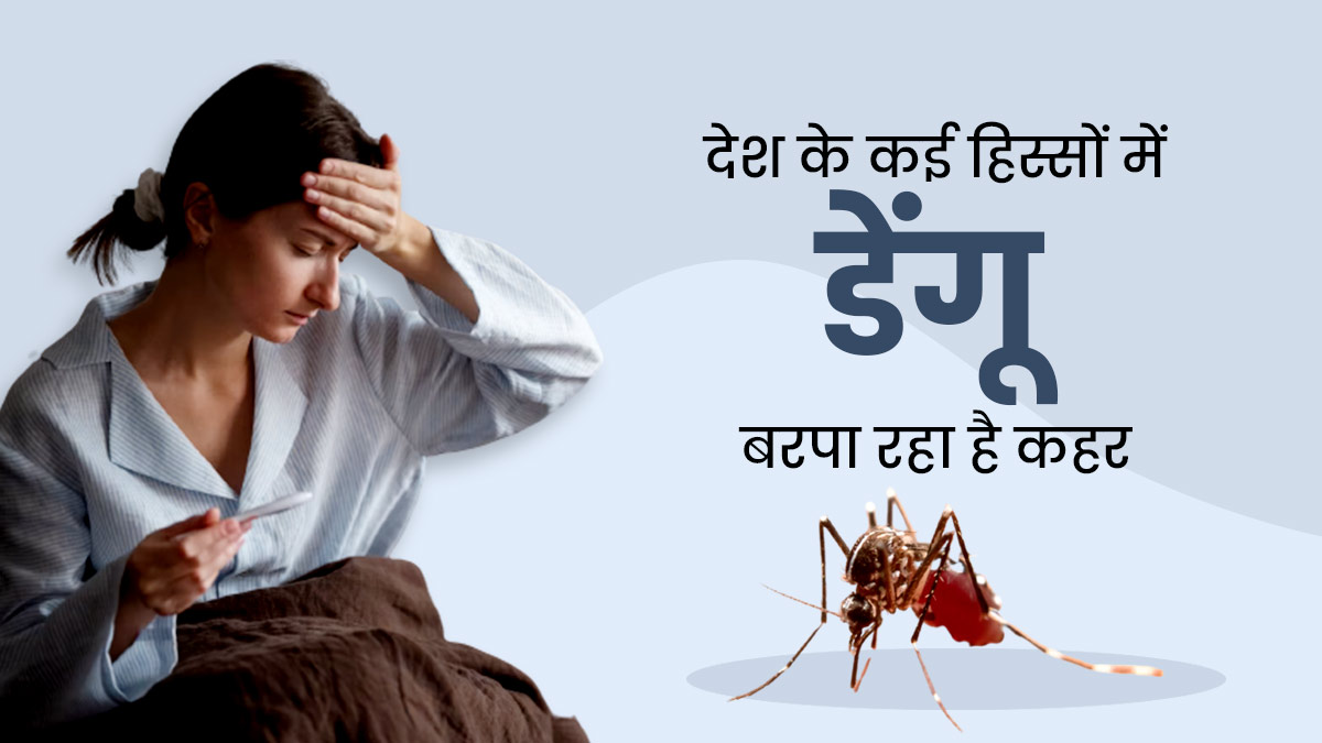 Dengue Cases in India: देश के कई इलाकों में डेंगू बरपा रहा है कहर, जानें किस राज्य में क्या है स्थिति