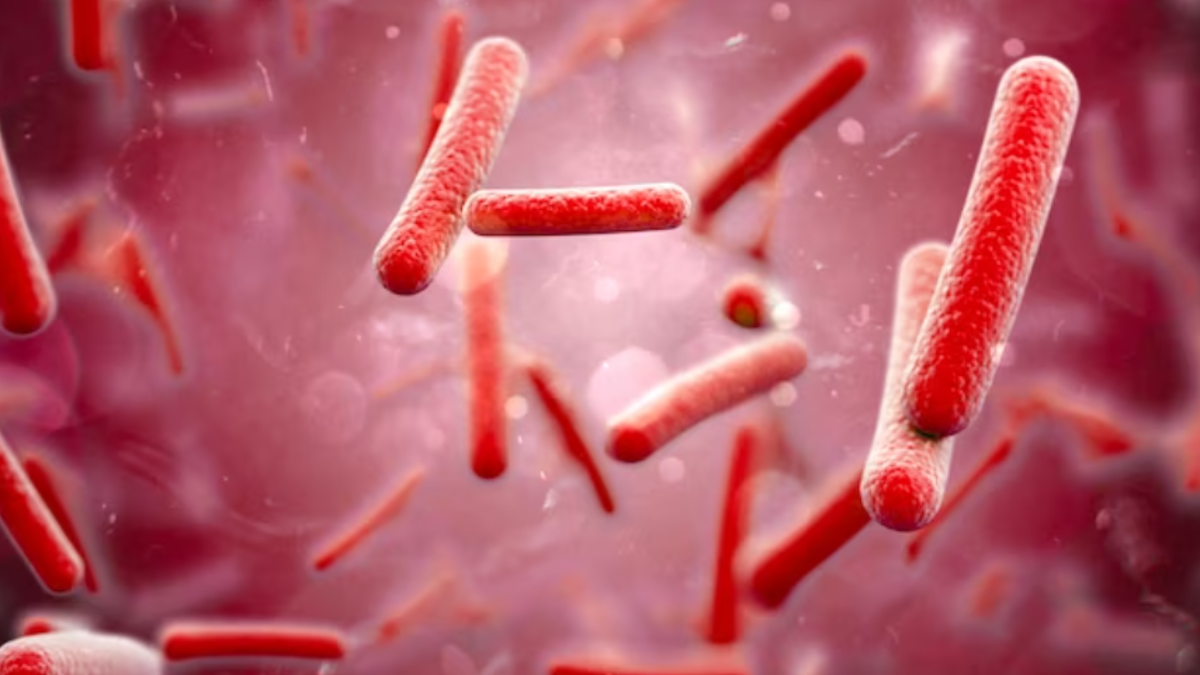 Theme History And Significance Of World Sepsis Day 2023