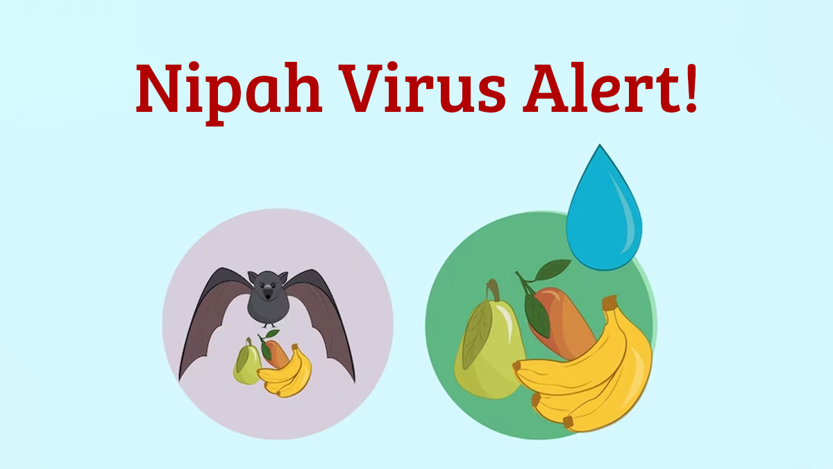 Nipah Virus Makes A Comeback In India, Here's What You Should Know About This Virus
