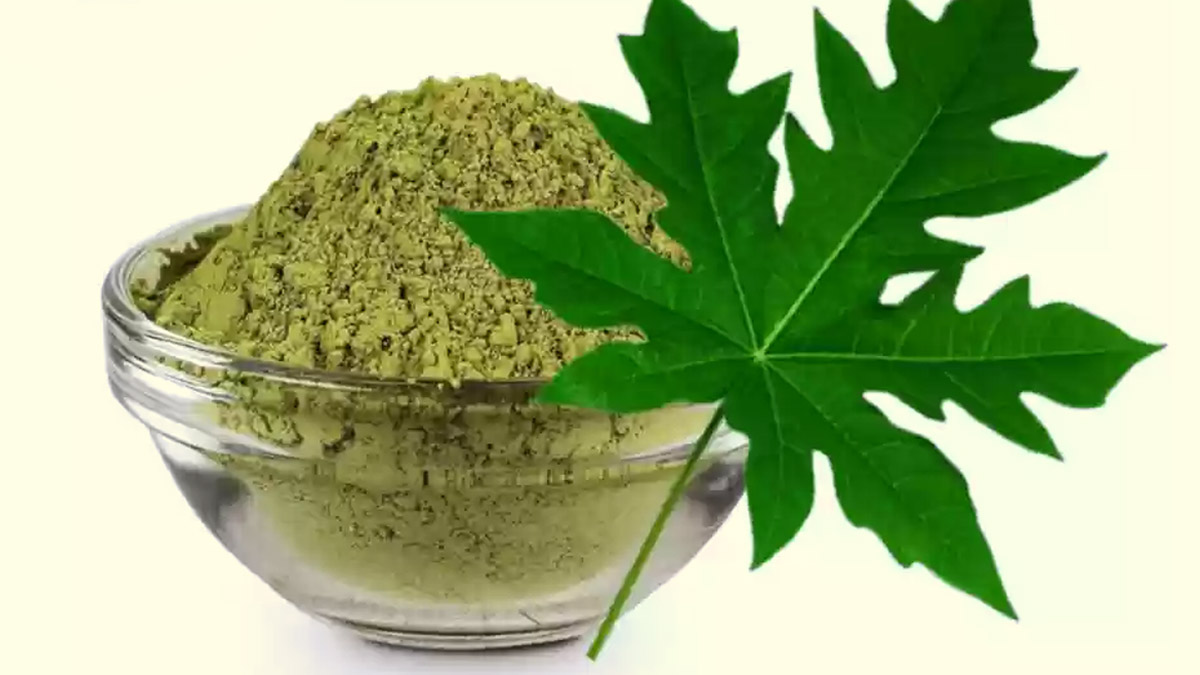 papaya leaves