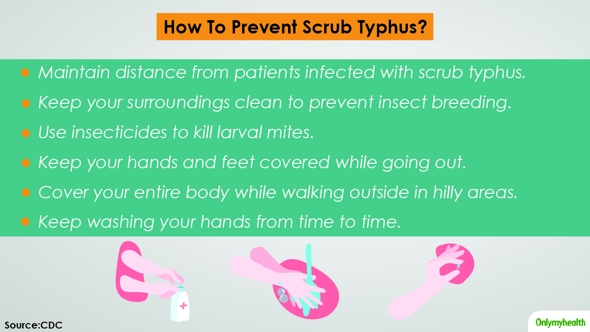 How To Prevent Scrub Typhus