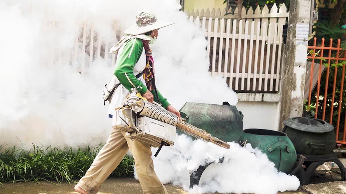 Dengue Cases in India