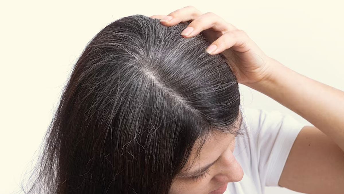 Do You Pluck Your Grey Hair Expert Explains If It Turns The Rest Grey