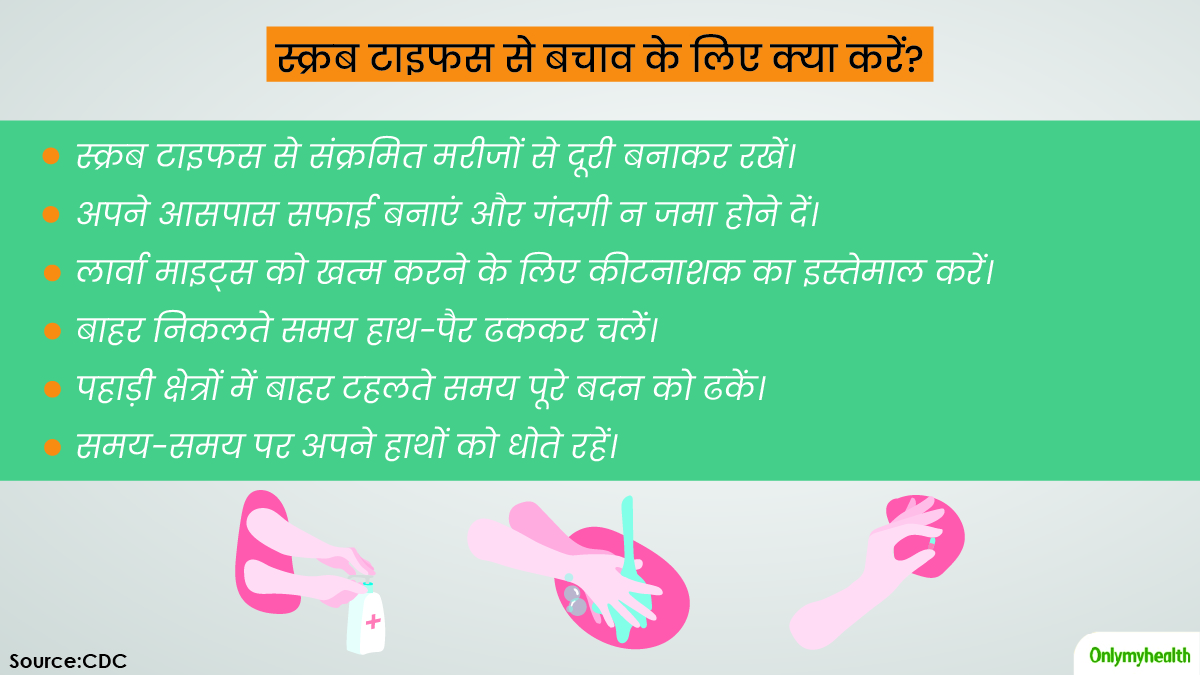 scrub typhus prevention in hindi