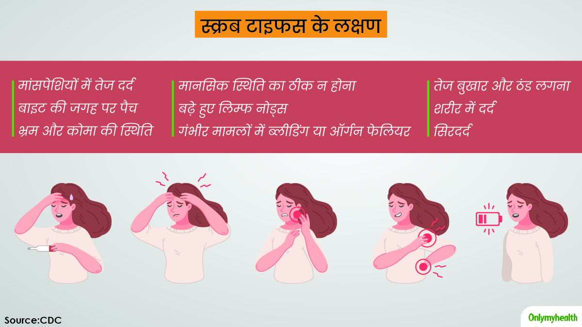 scrub typhus symptoms in hindi