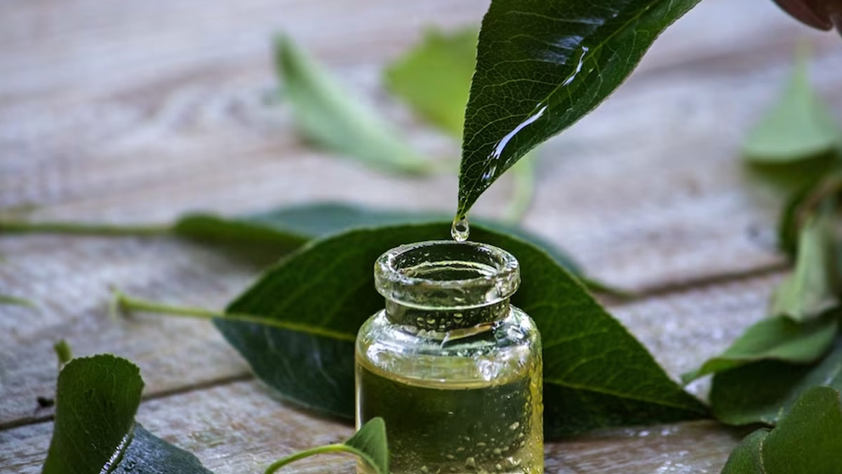 tea-tree-oil